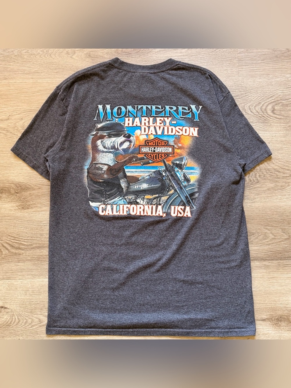 Harley-Davidson Charcoal Monterey Graphic Tee with Blue & Orange Art